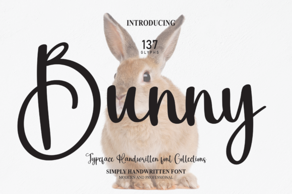 Bee Book Font: A Designer's Script
