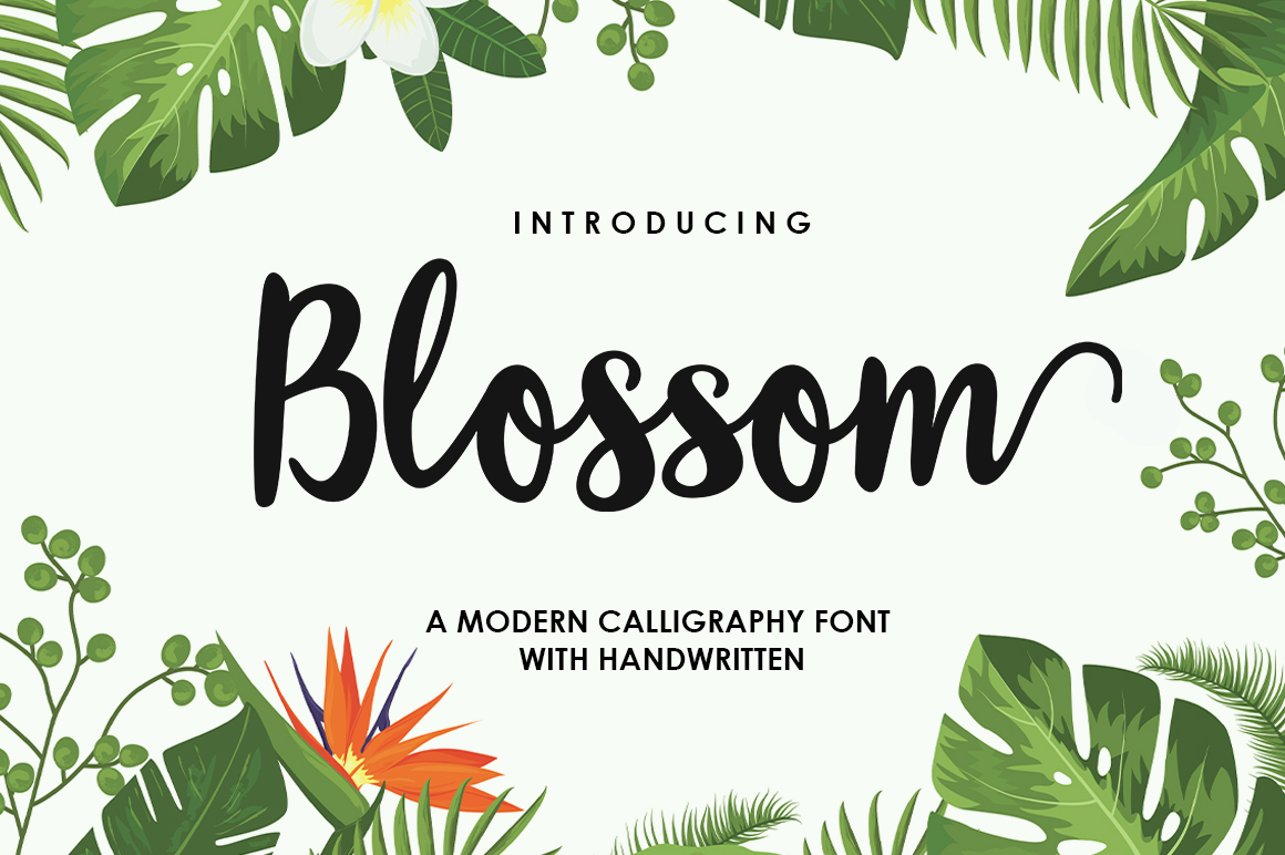 Blossom Script Font: A Modern Typeface with Elegant Swashes